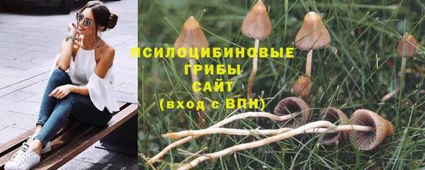 герыч Абаза