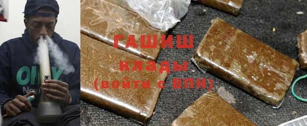 стаф Алзамай