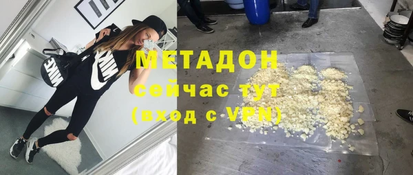 стаф Алзамай