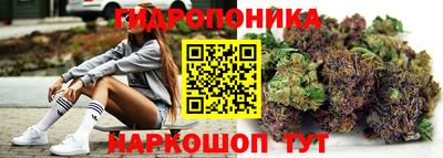 твердый Пугачёв