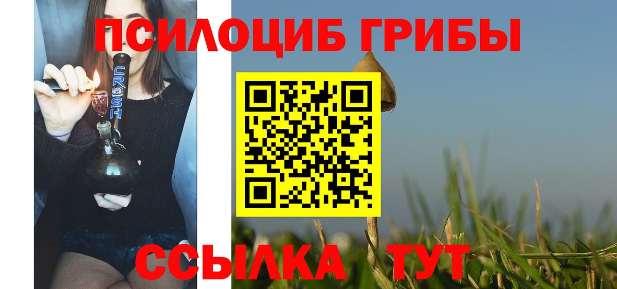 Галлюциногенные грибы Psilocybine cubensis  Вход с VPN  Удомля 